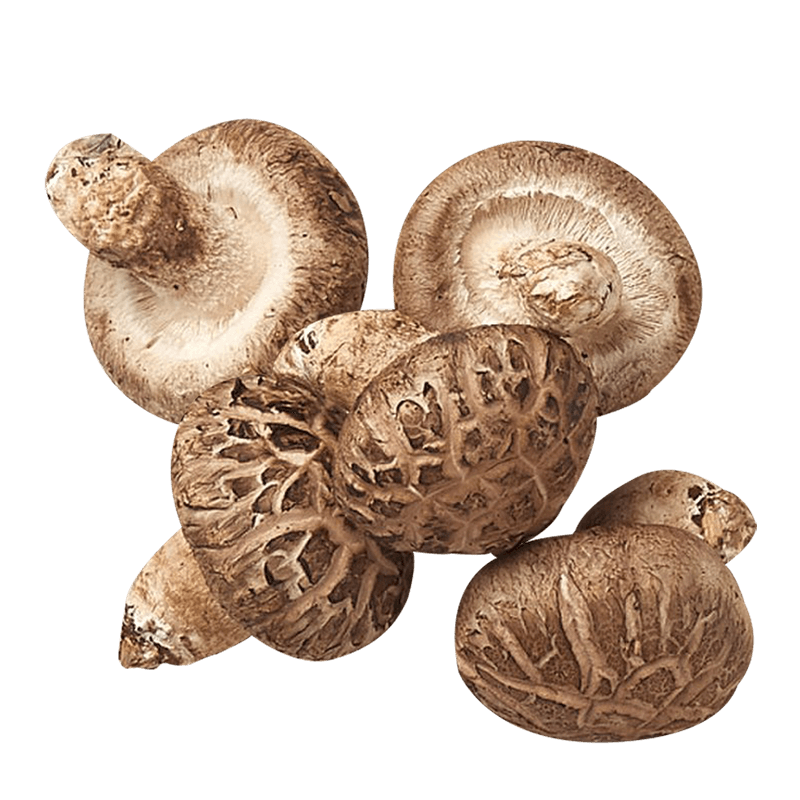 Dried Shiitake Whole Mushroom 3.52oz(100g)