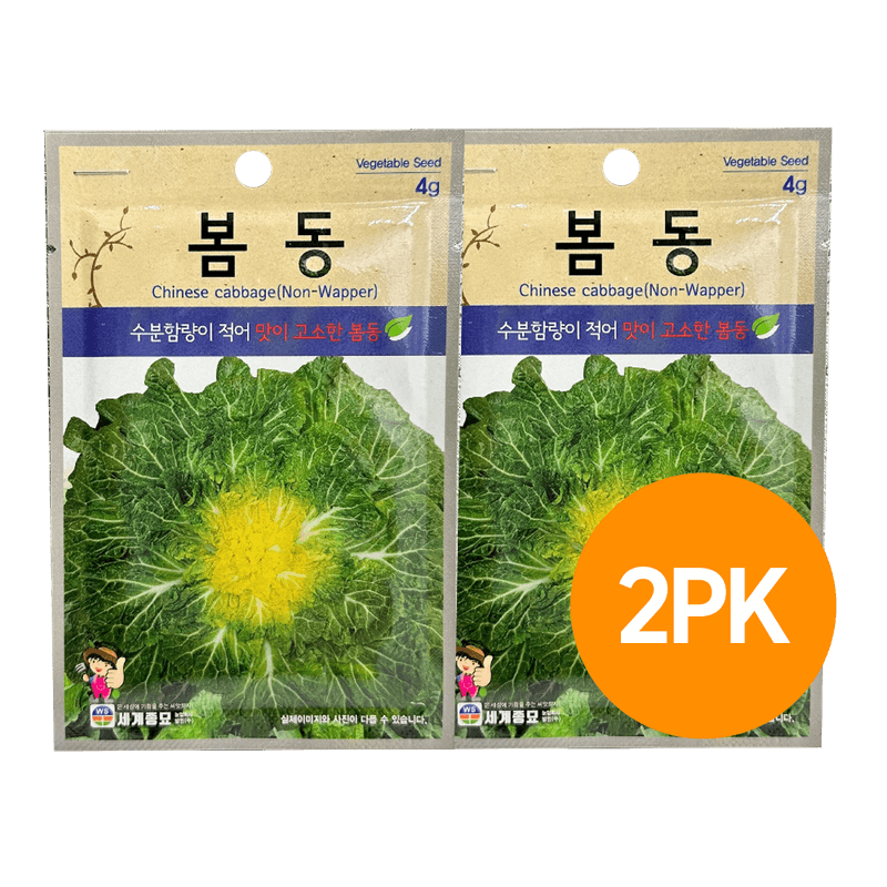 Bomdong (Burdock Greens) Seeds (4g) 2 Pack